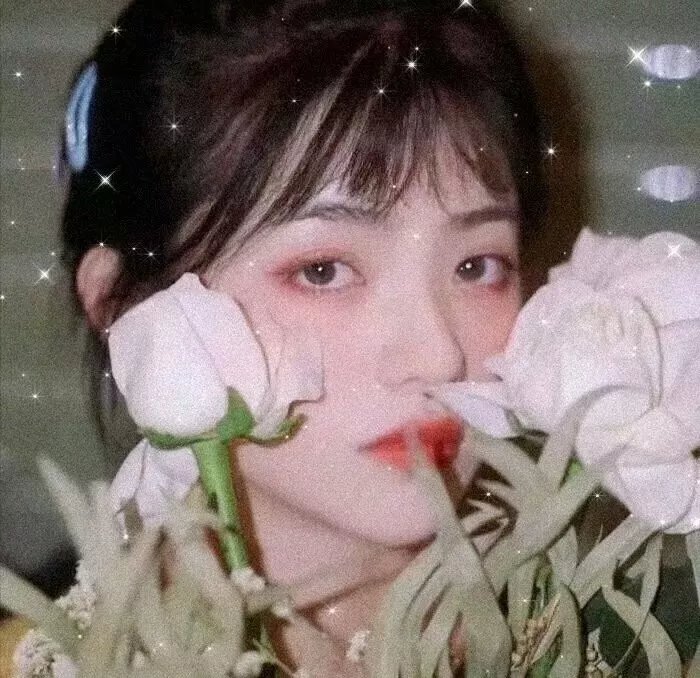 望母成凤